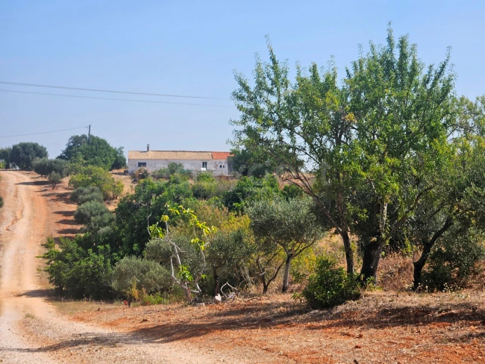 Terreno Misto para Venda em Estômbar e Parchal Foto 11