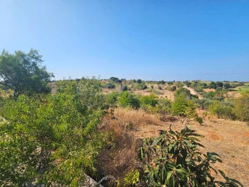 Terreno Misto para Venda em Estômbar e Parchal