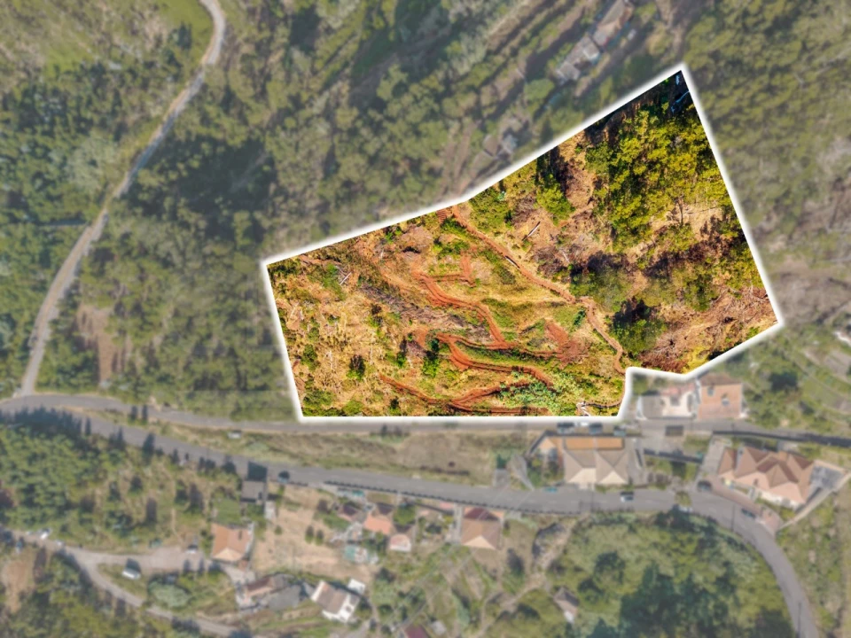 Terreno para Venda em Caniço Foto 3