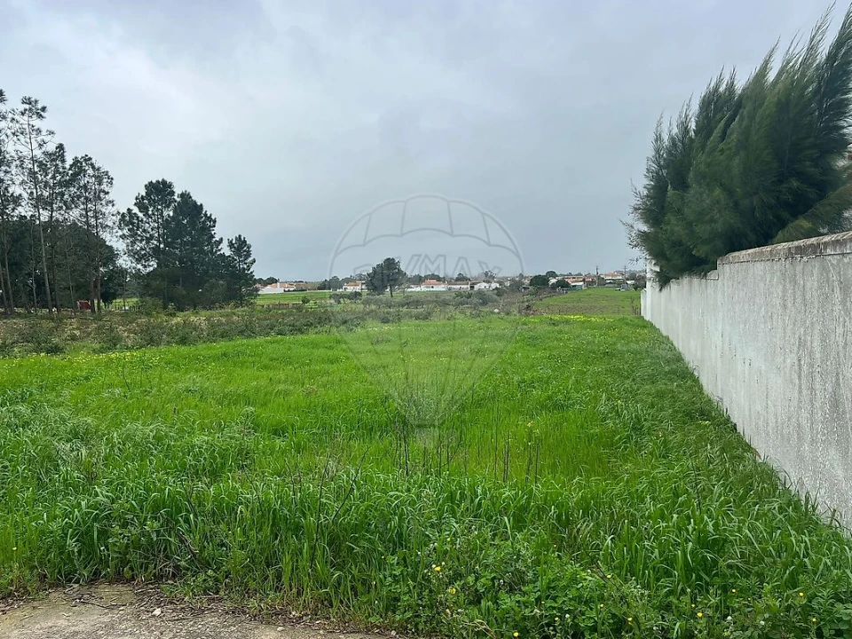 Terreno para Venda em Marinhais Foto 5