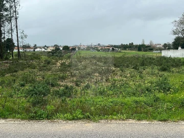 Terreno para Venda em Marinhais
