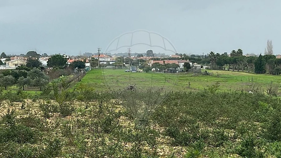 Terreno para Venda em Marinhais