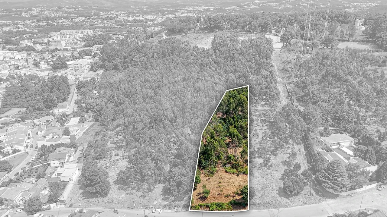 Terreno para Venda em Oliveira do Douro Foto 7