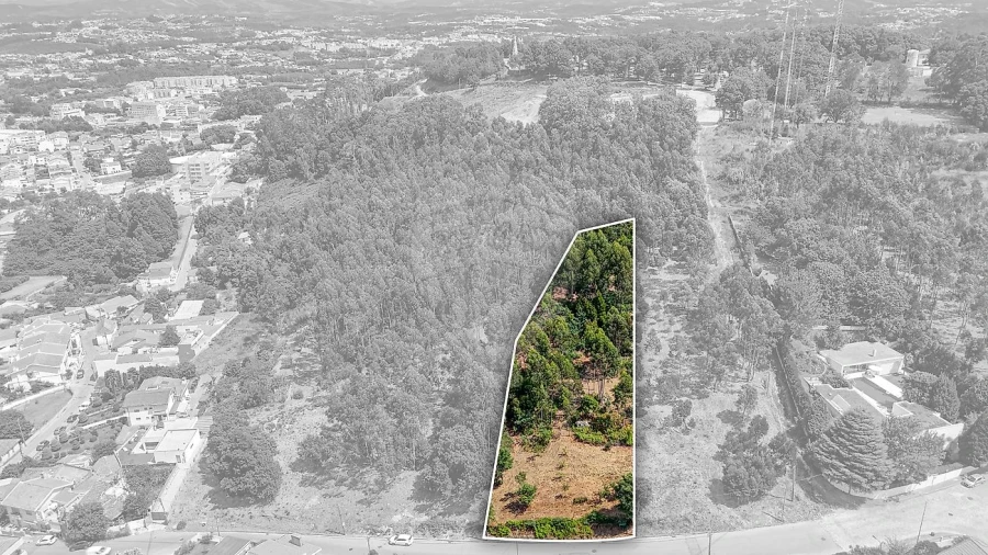 Terreno para Venda em Oliveira do Douro Foto 7