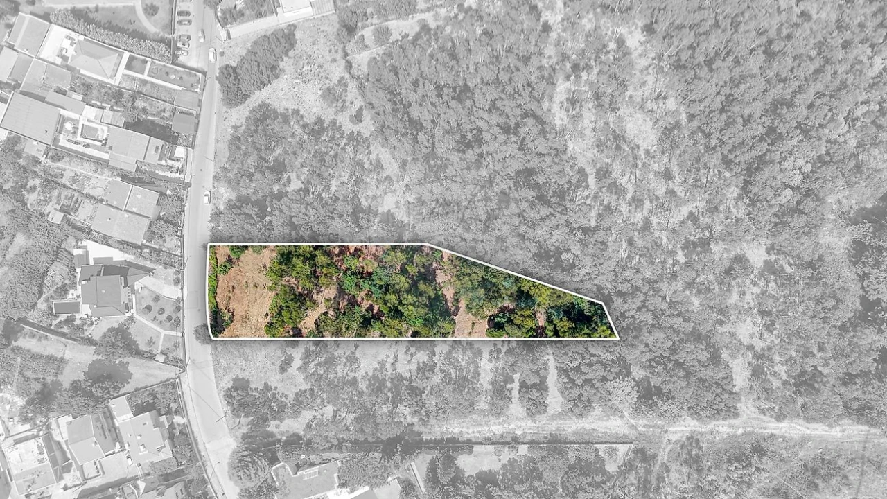 Terreno para Venda em Oliveira do Douro Foto 4