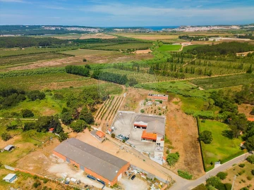 Terreno para Venda em Alfeizerão