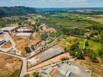 Terreno para Venda em Alfeizerão