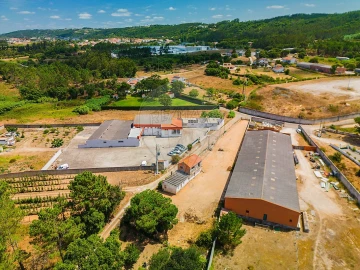 Terreno para Venda em Alfeizerão