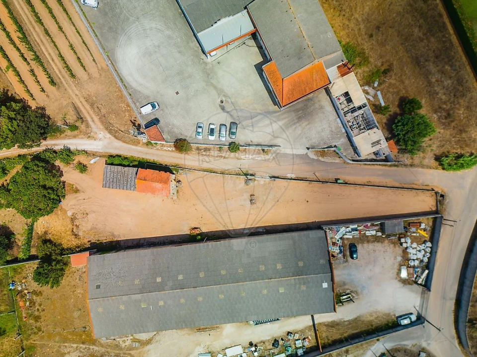 Terreno para Venda em Alfeizerão Foto 9