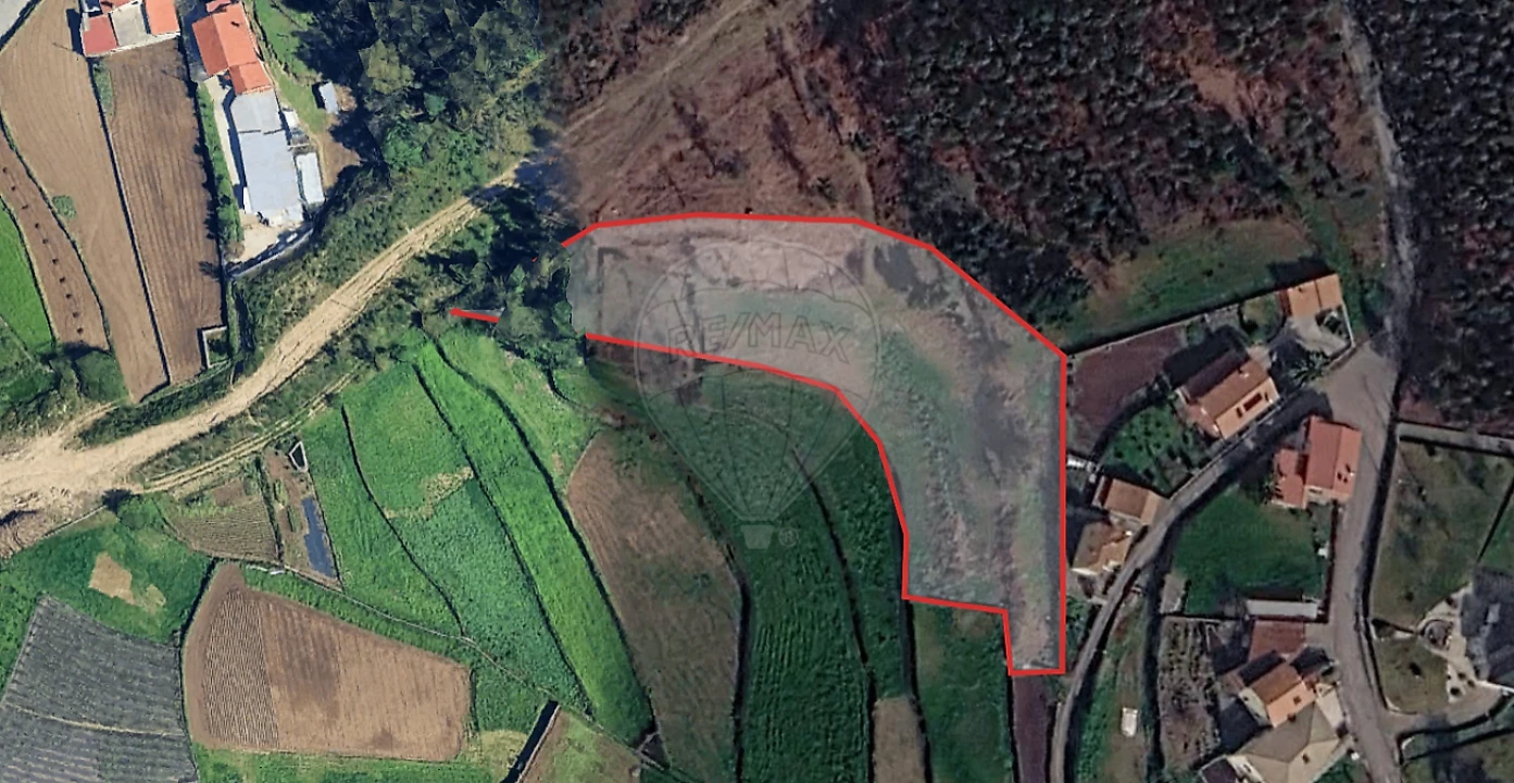Terreno para Venda em São Pedro de Castelões Foto 3