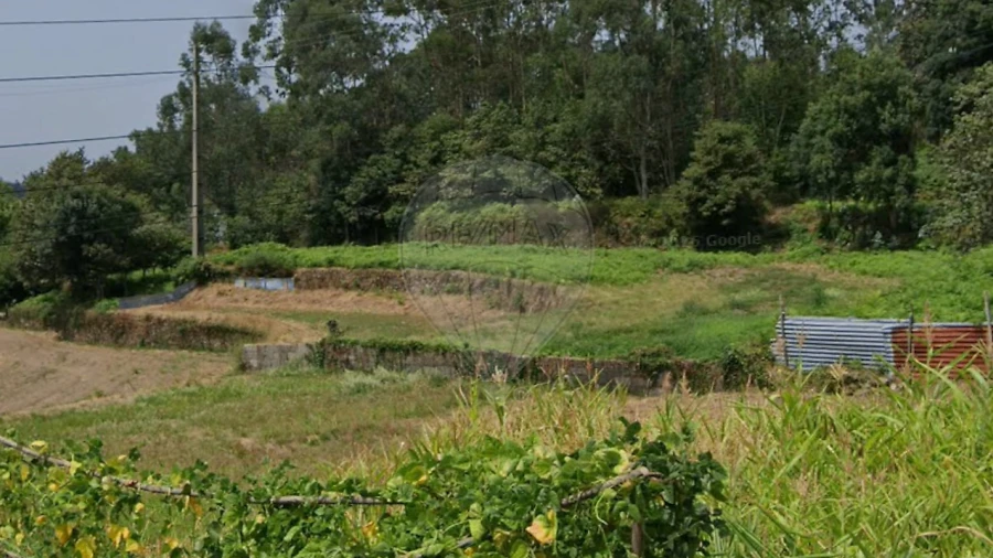 Terreno para Venda em São Pedro de Castelões