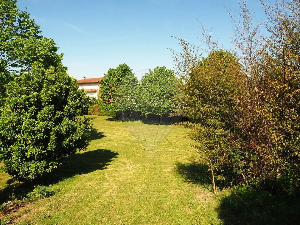 Quinta T15 para Venda em Macieira de Cambra Foto 6