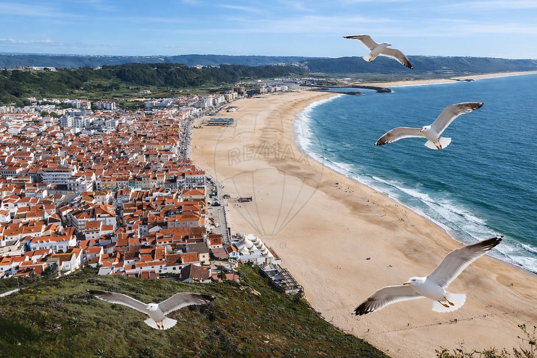 Apartamento T1 para Venda em Nazare Foto 14