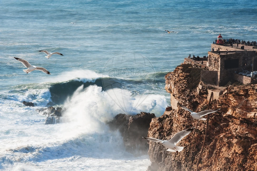 Apartamento T0 para Venda em Nazare Foto 9