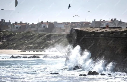 Apartamento T1 para Venda em Nazare