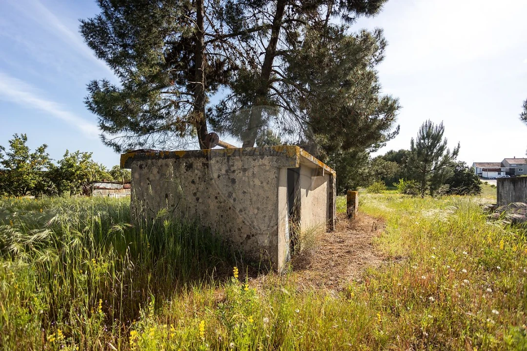 Moradia T1 para Venda em Coruche, Fajarda e Erra Foto 12