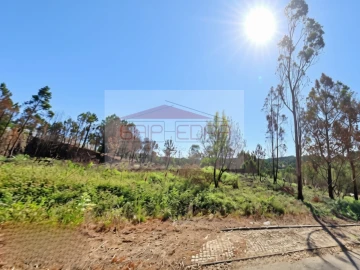 Terreno para Venda em Sandim, Olival, Lever e Crestuma