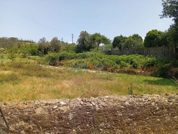 Terreno para Venda em Albergaria-A-Velha e Valmaior