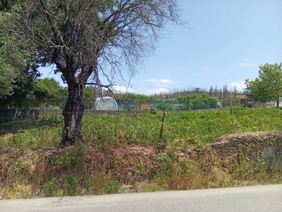 Terreno para Venda em Albergaria-A-Velha e Valmaior Foto 11