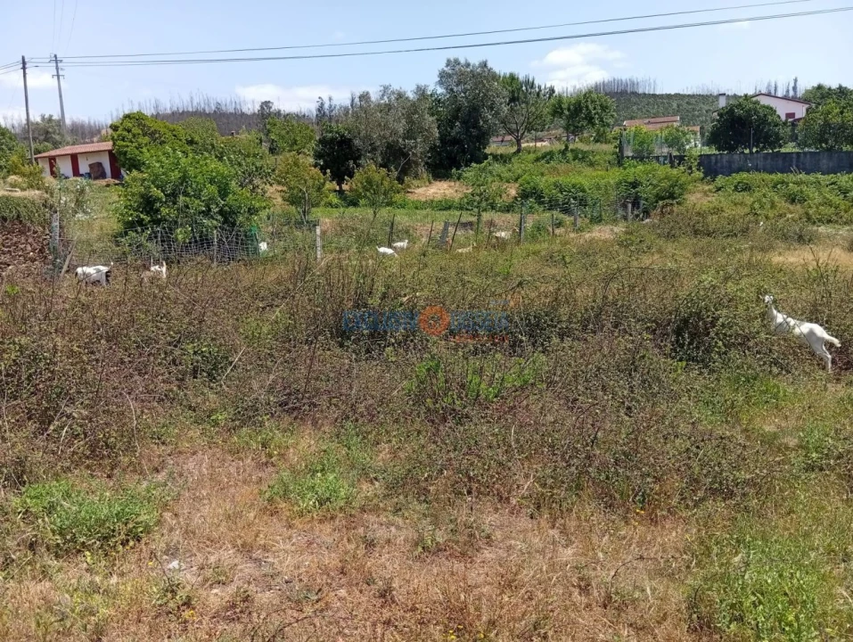 Terreno para Venda em Albergaria-A-Velha e Valmaior Foto 2