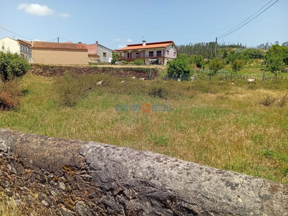 Terreno para Venda em Albergaria-A-Velha e Valmaior Foto 8