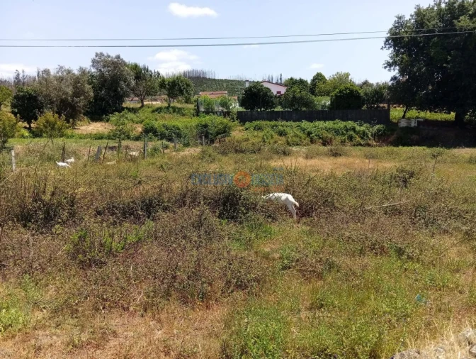 Terreno para Venda em Albergaria-A-Velha e Valmaior Foto 10