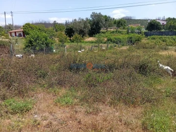 Terreno para Venda em Albergaria-A-Velha e Valmaior