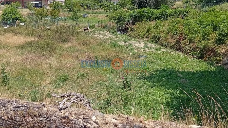 Terreno para Venda em Albergaria-A-Velha e Valmaior