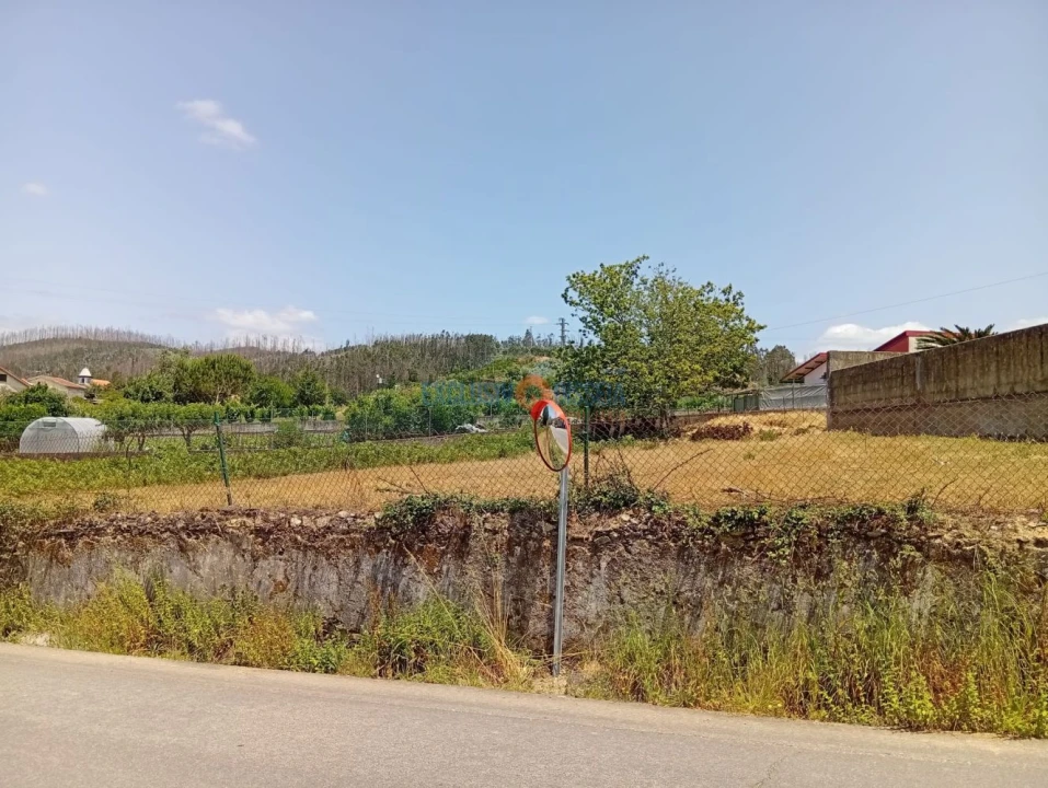 Terreno para Venda em Albergaria-A-Velha e Valmaior Foto 11