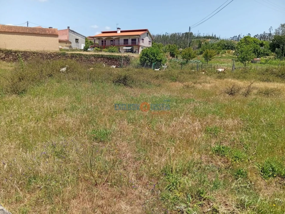 Terreno para Venda em Albergaria-A-Velha e Valmaior Foto 6