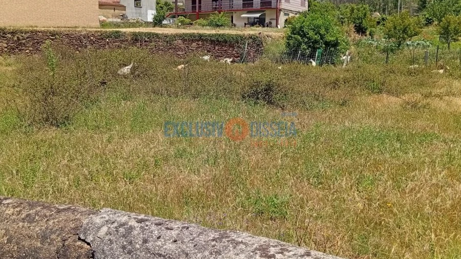 Terreno para Venda em Albergaria-A-Velha e Valmaior
