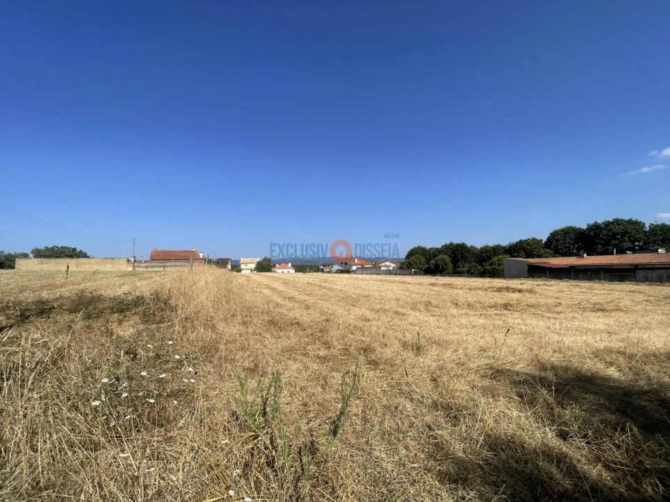 Terreno para Venda em Aguada de Cima Foto 5