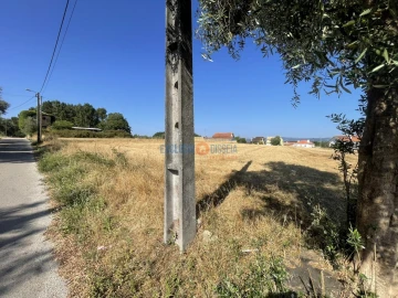 Terreno para Venda em Aguada de Cima
