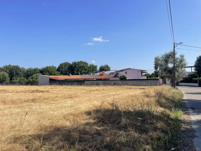 Terreno para Venda em Aguada de Cima Foto 6