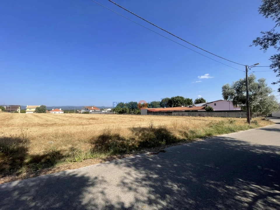 Terreno para Venda em Aguada de Cima Foto 3