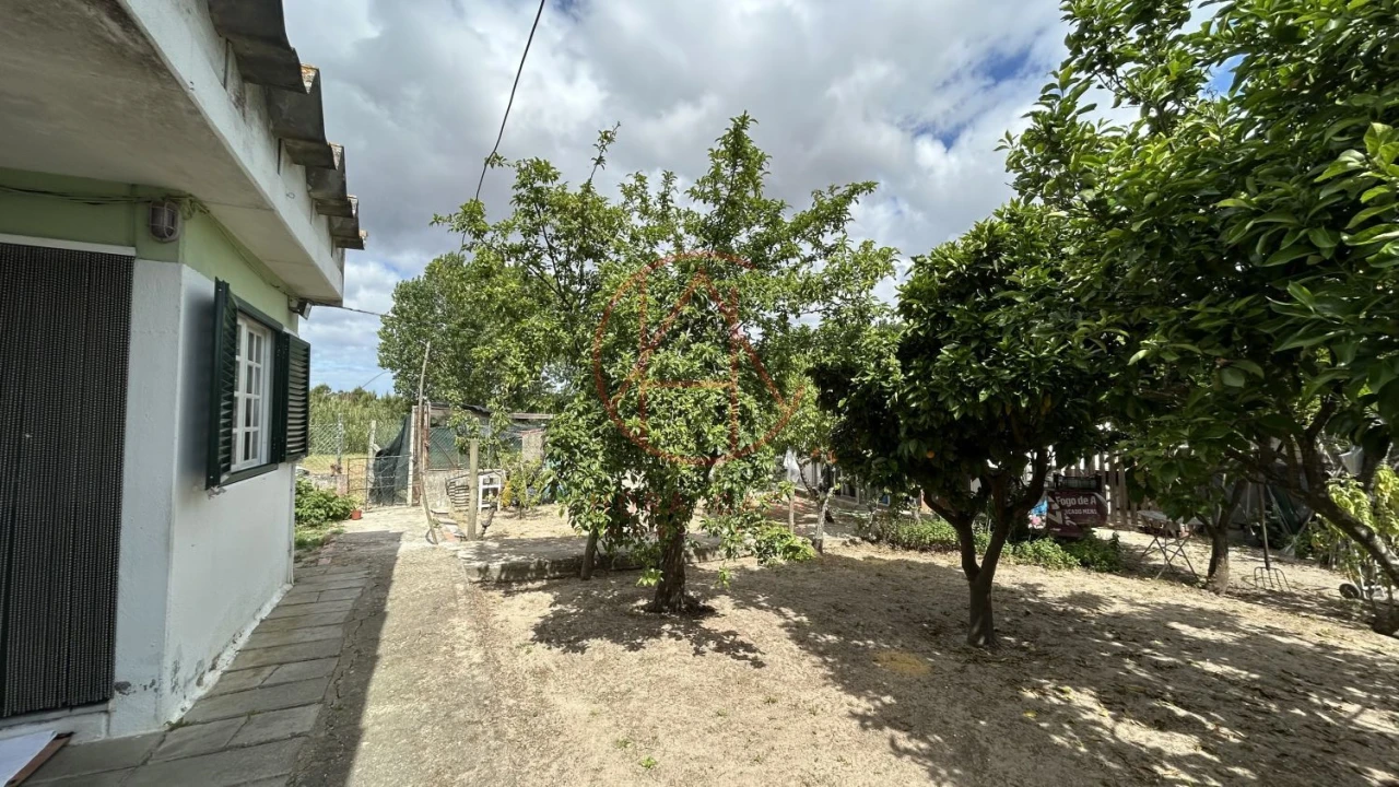 Moradia T1 para Venda em Azeitão (São Lourenço e São Simão) Foto 15