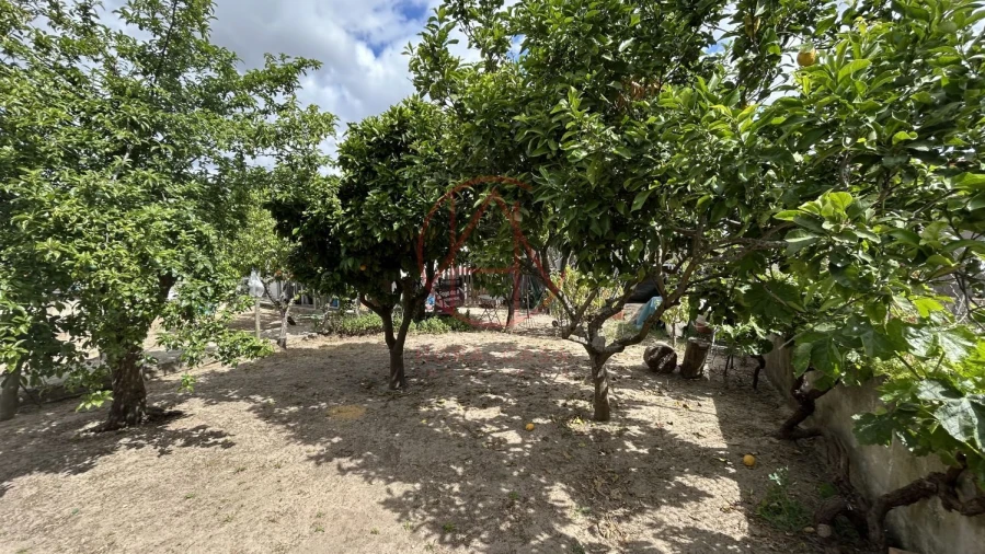 Moradia T1 para Venda em Azeitão (São Lourenço e São Simão) Foto 16