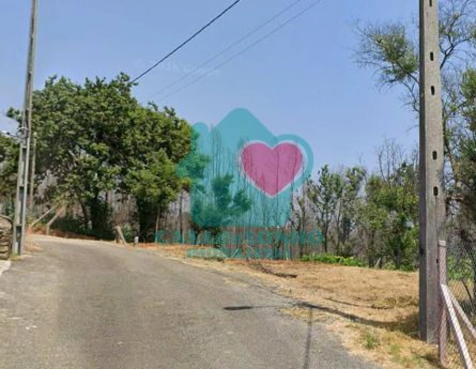 Terreno para Venda em Branca Foto 2