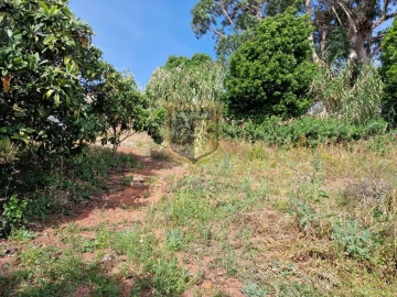 Moradia T3 para Venda em Carvoeira e Carmões