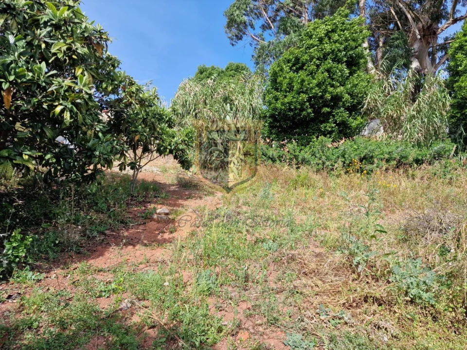 Moradia T3 para Venda em Carvoeira e Carmões Foto 35