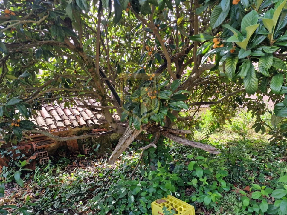 Moradia T3 para Venda em Carvoeira e Carmões Foto 33