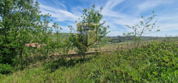 Terreno para Venda em Carvoeira e Carmões