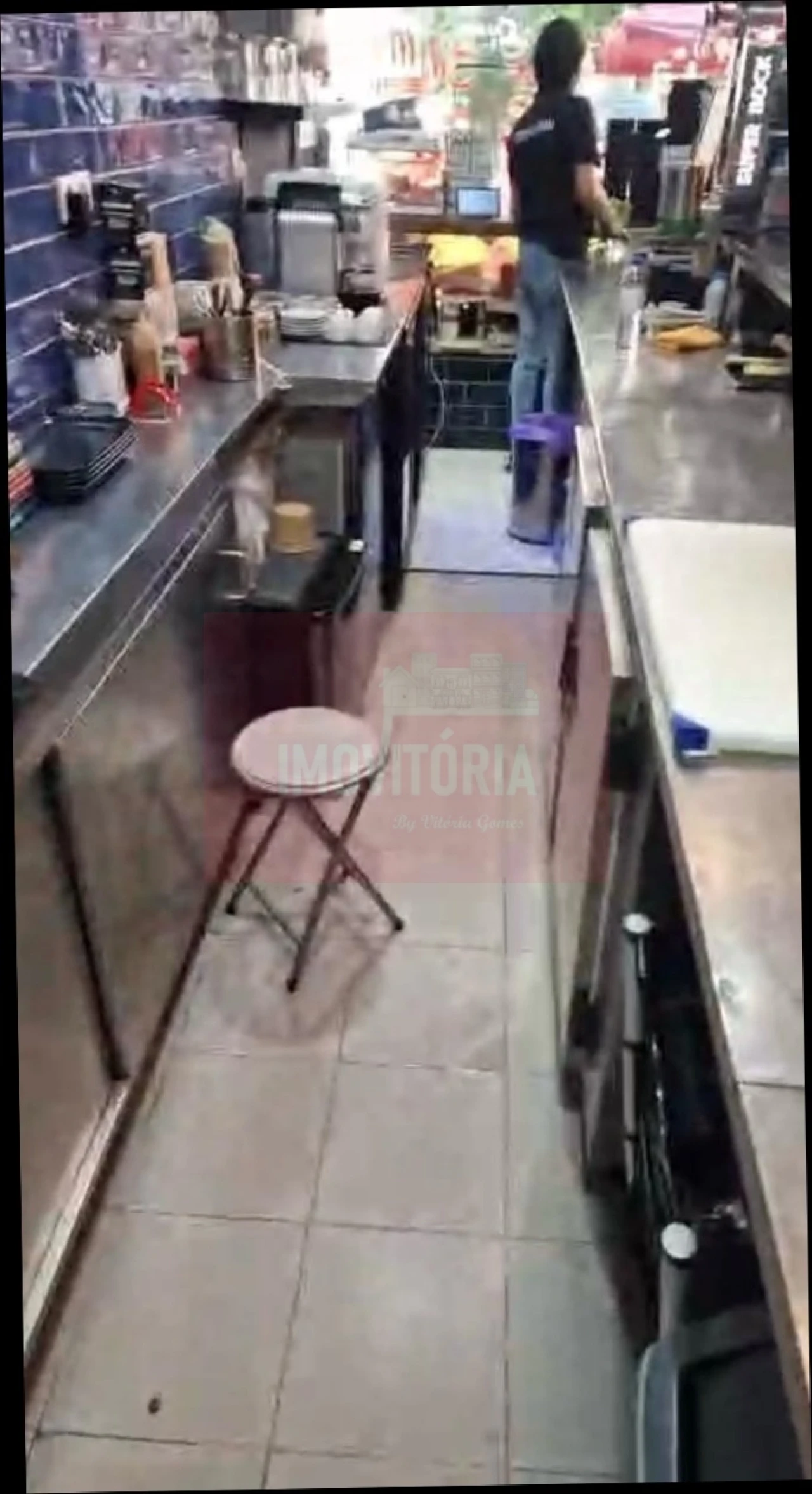 Loja para Trespasse em Santo António Foto 5