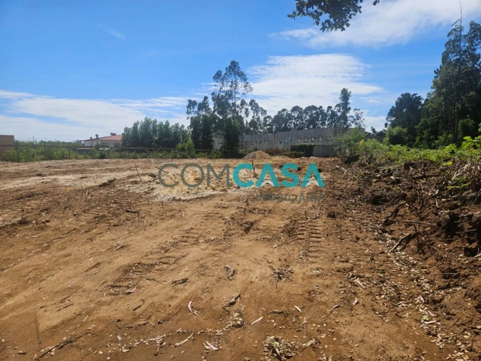 Terreno para Venda em Vilar e Mosteiró Foto 3