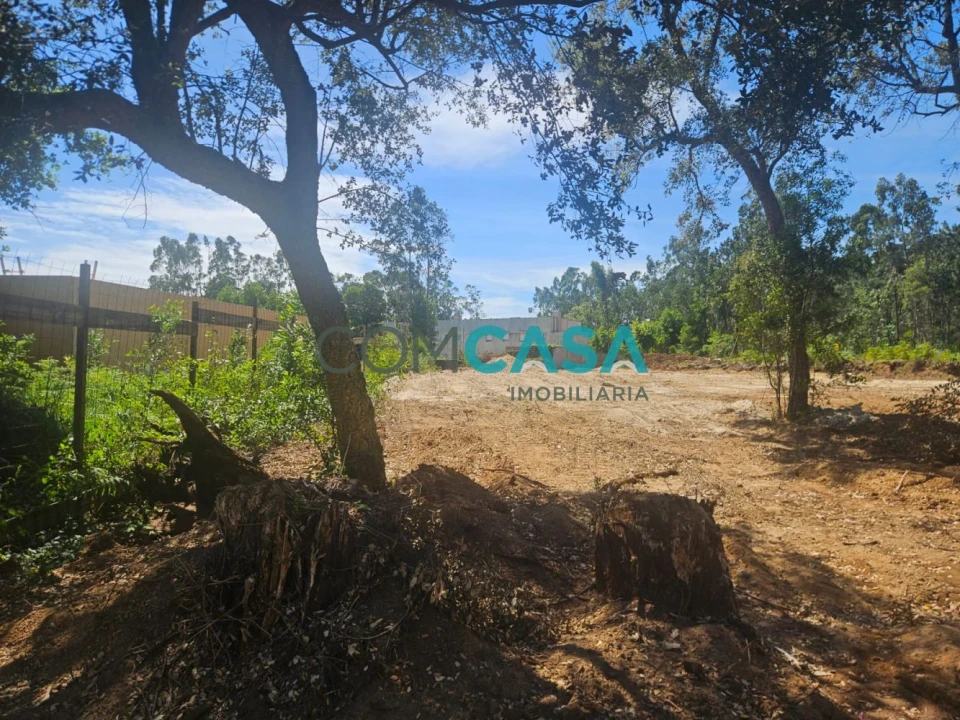 Terreno para Venda em Vilar e Mosteiró Foto 1