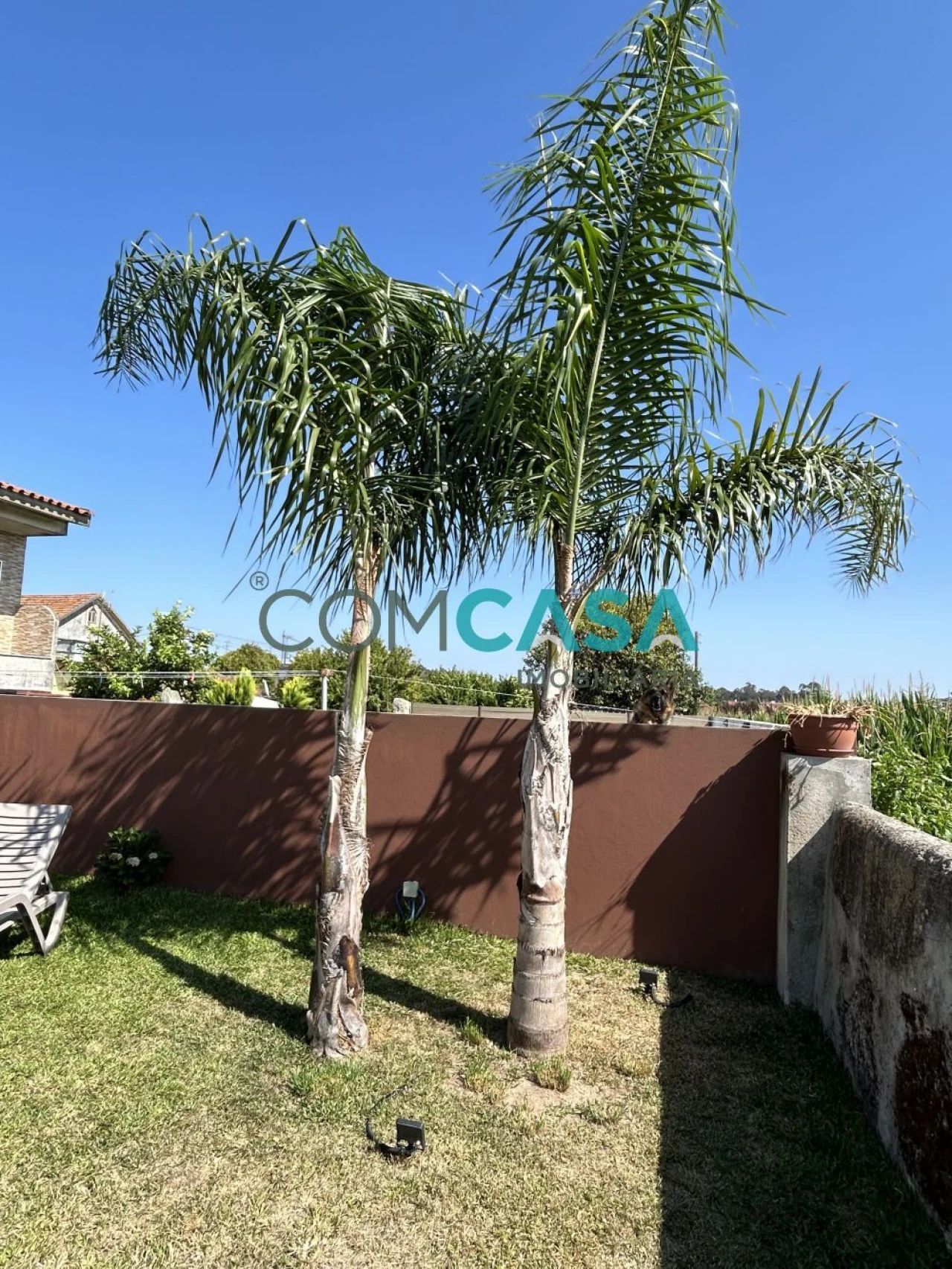 Moradia T3 para Venda em Vilar e Mosteiró Foto 12
