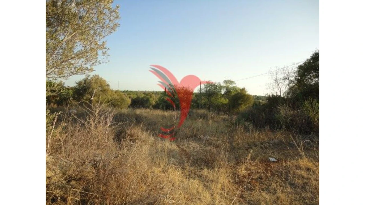 Quinta T1 para Venda em Algoz e Tunes Foto 4