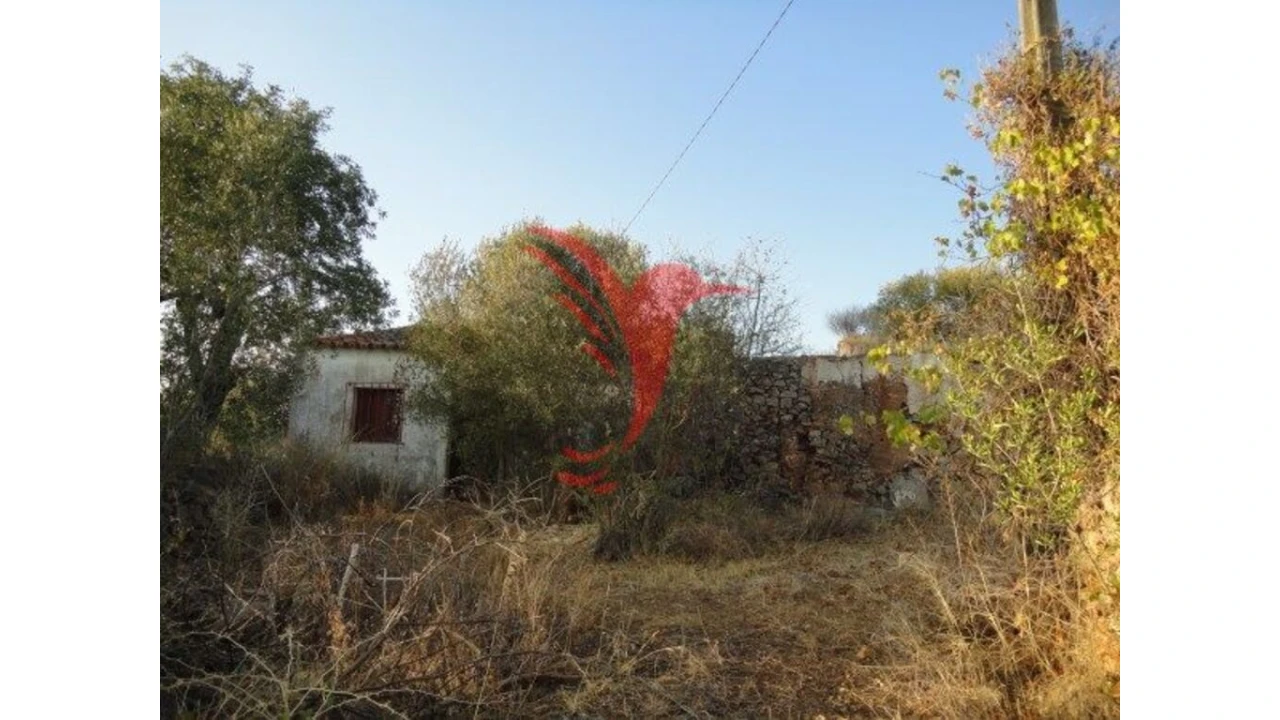 Quinta T1 para Venda em Algoz e Tunes Foto 2