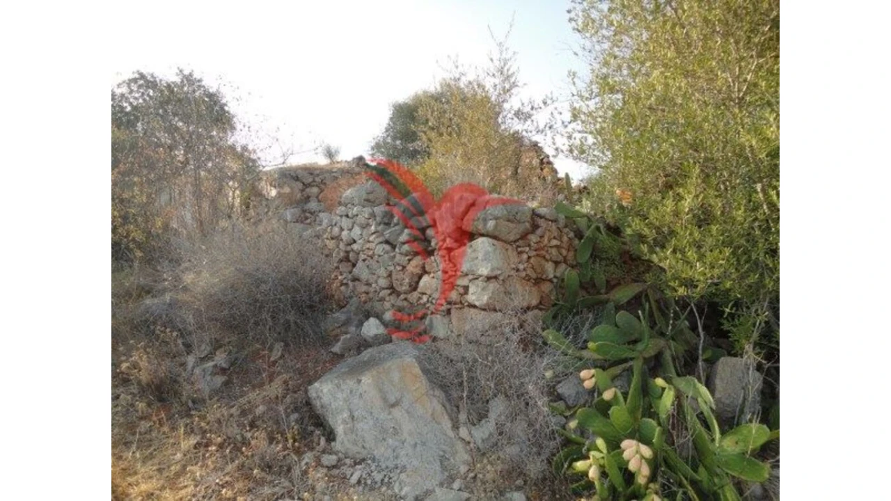 Quinta T1 para Venda em Algoz e Tunes Foto 7