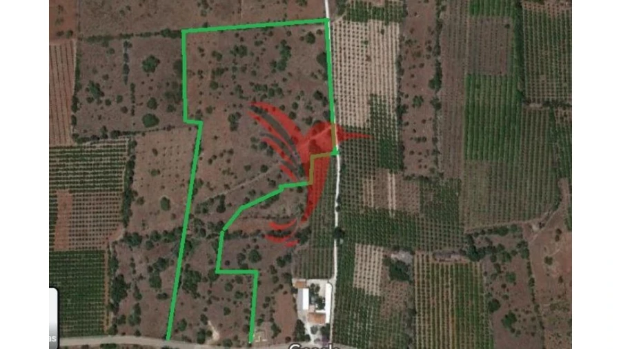 Quinta T1 para Venda em Algoz e Tunes Foto 1